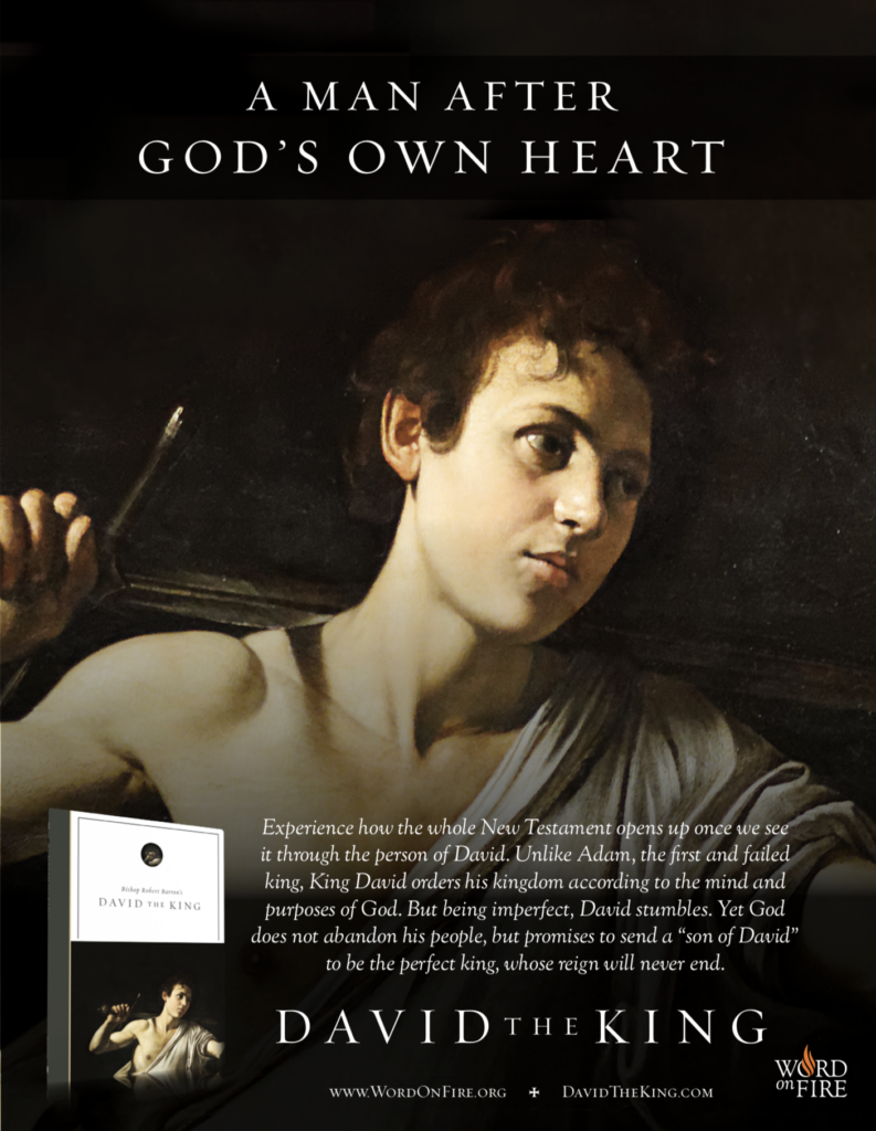 Adult Faith Formation program on the King David starting in November